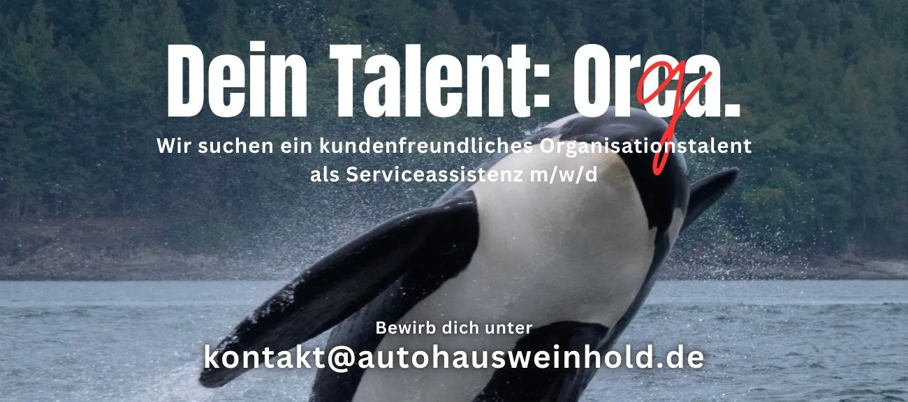 StAnz Serviceassistenz